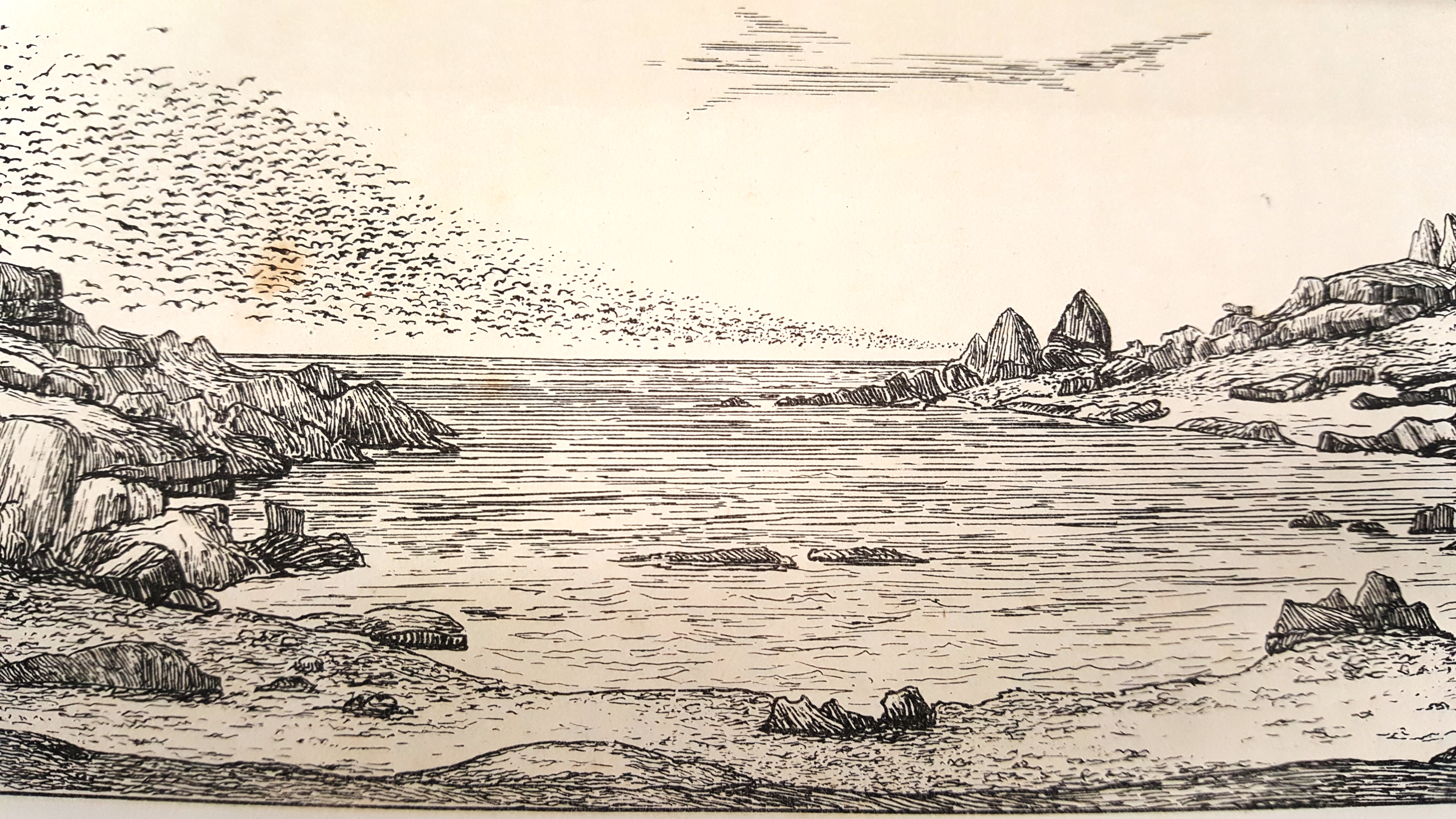 Unicorn Rocks, Badger Island, illustration by Rev. Brownrigg, Cruise of the Freak, 1872 , State Library of New South Wales