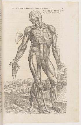 page in book open on image of internal anatomy of the human body